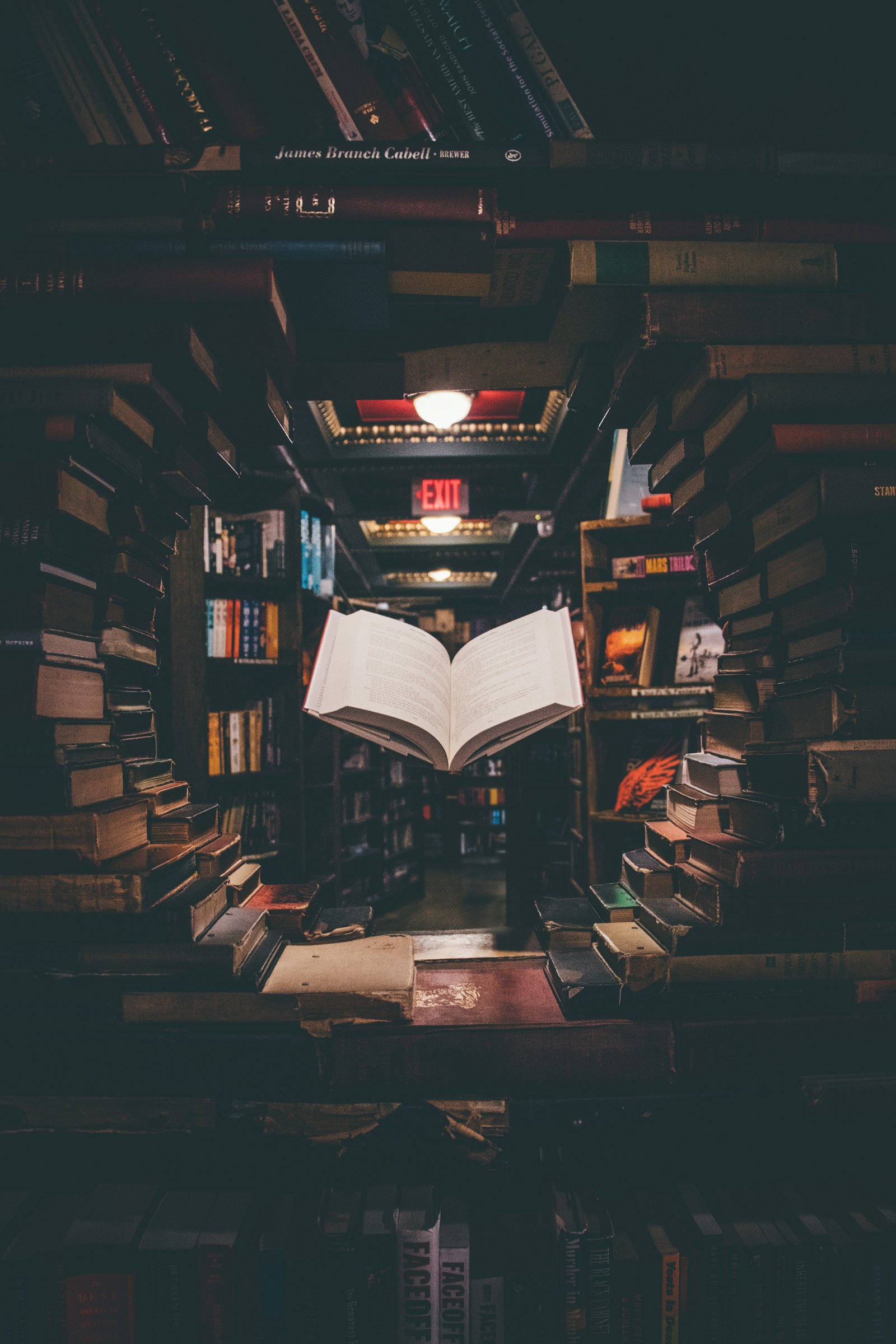 An open book between shelves